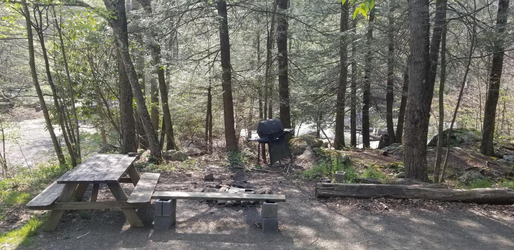 Abrams Creek Campground Mount Storm Εξωτερικό φωτογραφία