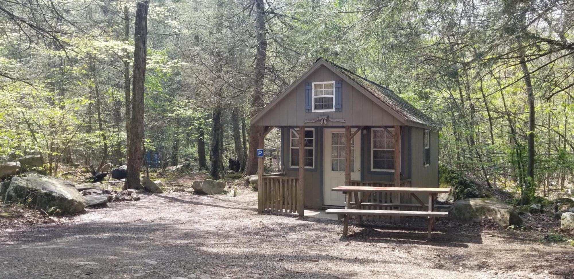 Abrams Creek Campground Mount Storm Εξωτερικό φωτογραφία