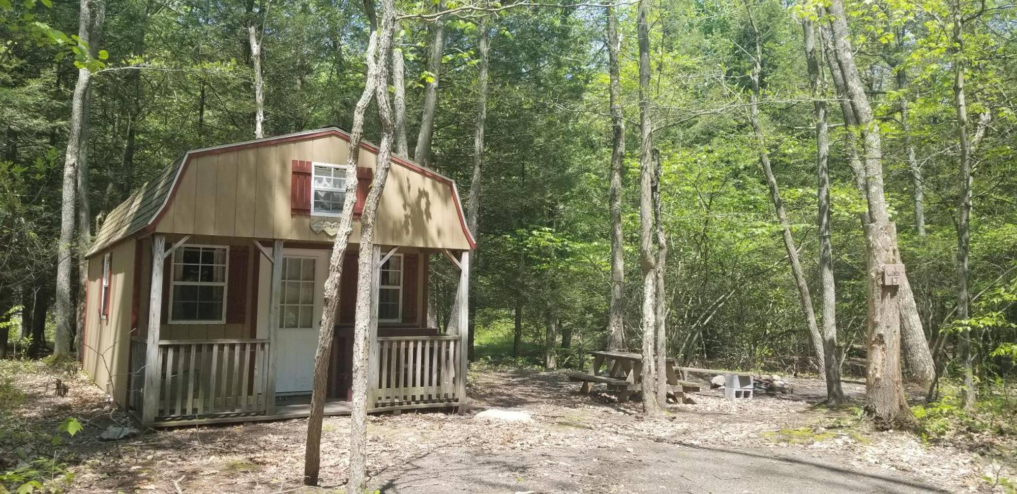 Abrams Creek Campground Mount Storm Εξωτερικό φωτογραφία