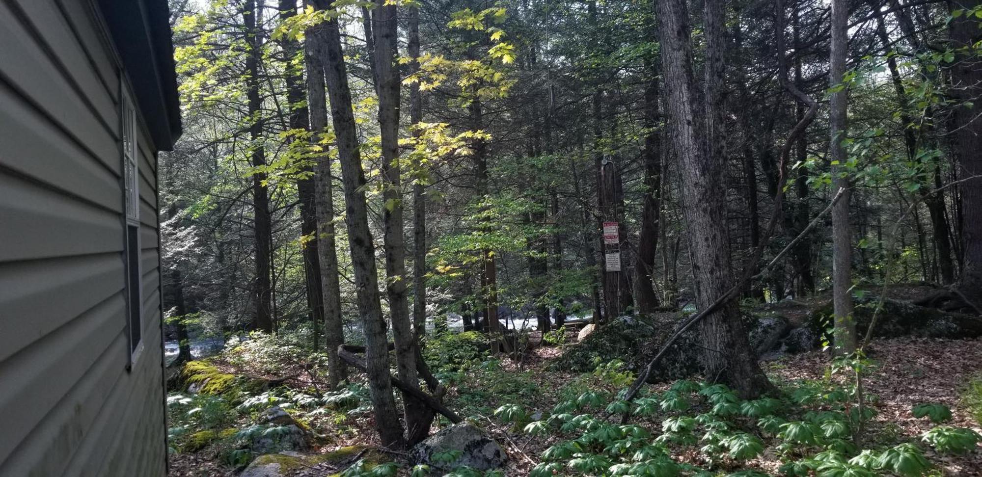 Abrams Creek Campground Mount Storm Εξωτερικό φωτογραφία