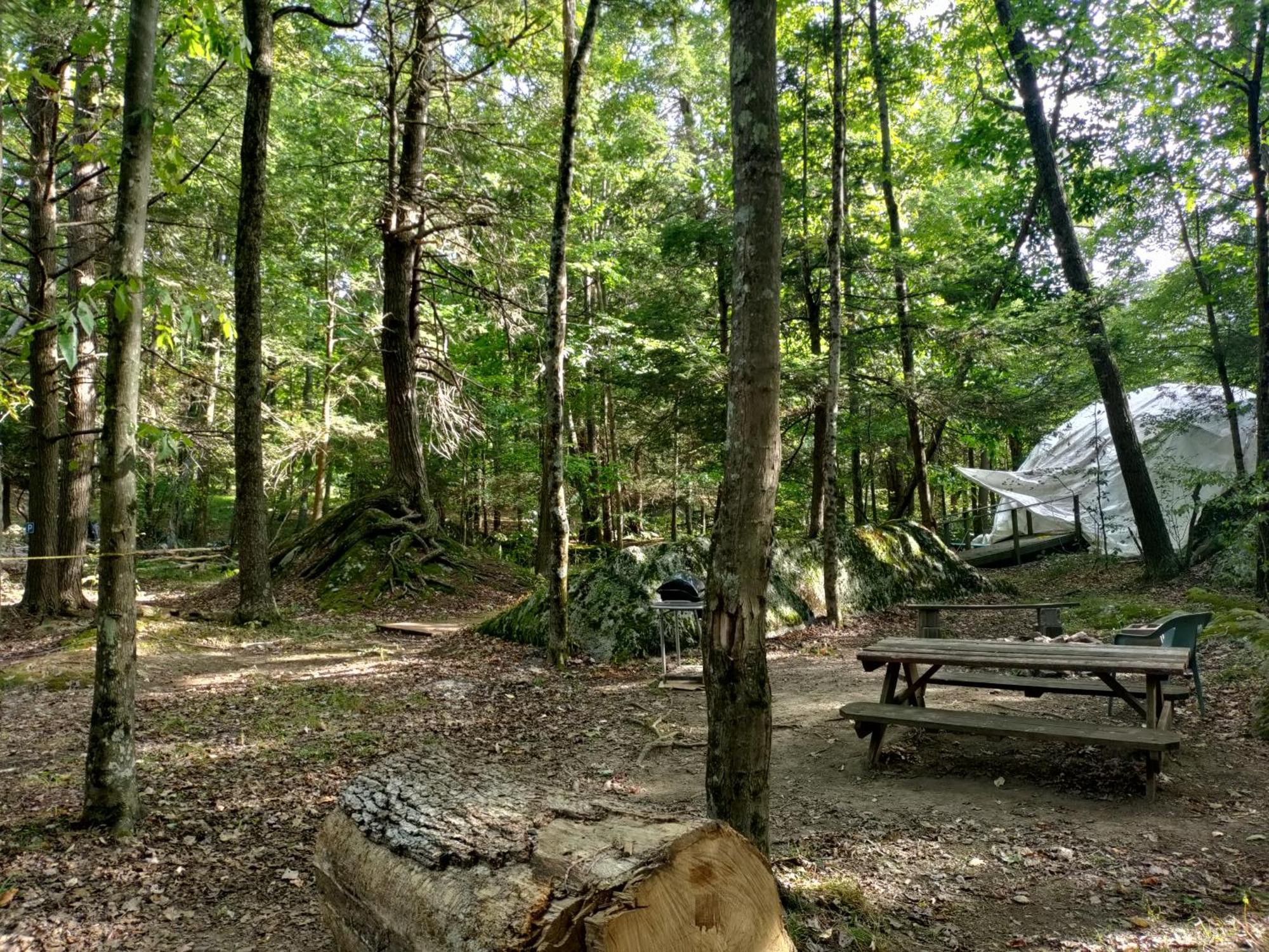 Abrams Creek Campground Mount Storm Εξωτερικό φωτογραφία