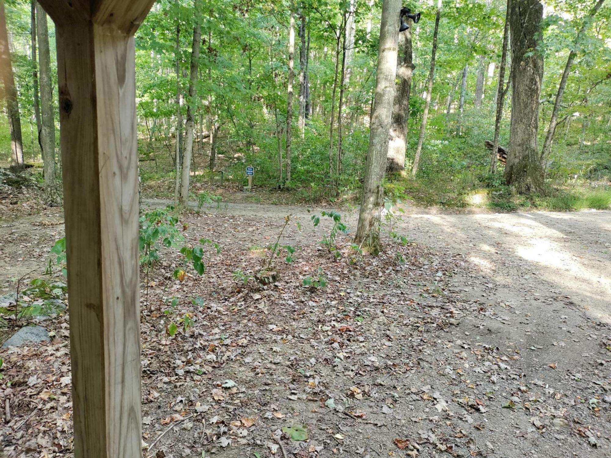 Abrams Creek Campground Mount Storm Εξωτερικό φωτογραφία